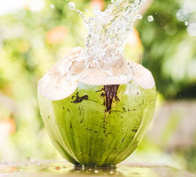 coconut water in a coconut