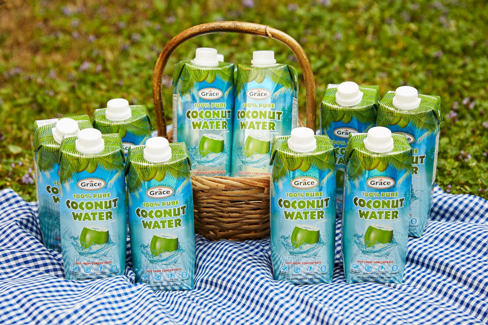 5 Must Know Facts About Coconut Water Grace Foods